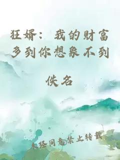 狂婿：我的财富多到你想象不到